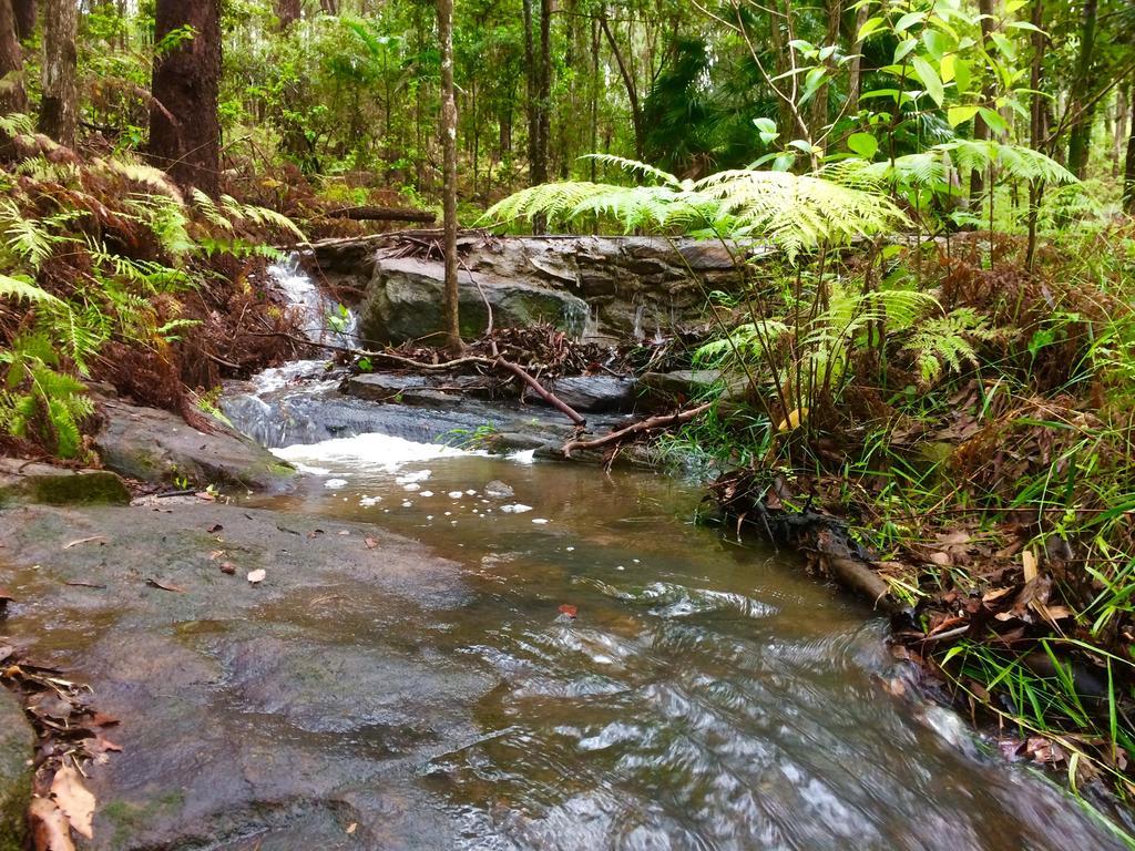 Noosa Hinterland Retreat Tinbeerwah Exterior foto